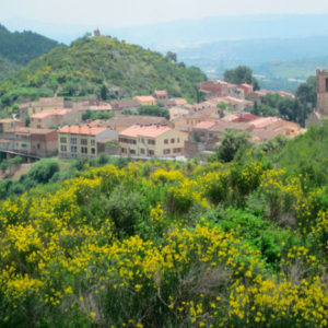 Jardins de l'Alzina