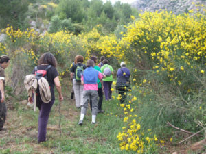 activitats de consciencia a la natura montserrat