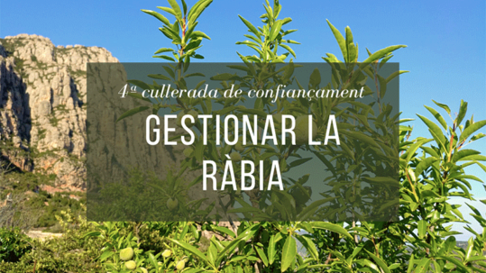 gestionar la ràbia