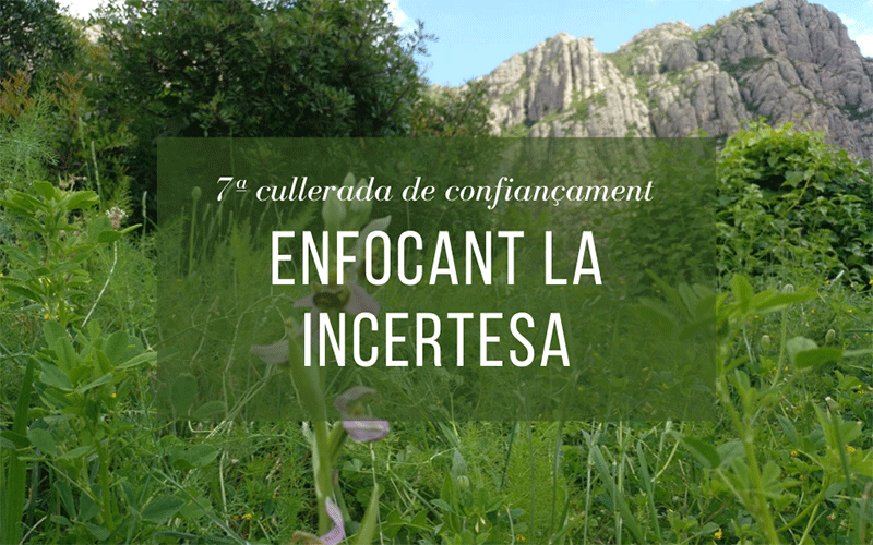 Incertesa